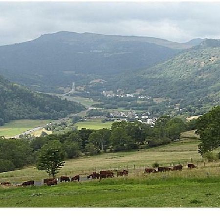 Vacances Au Pied Des Monts Du Cantal Laveissière Exterior foto