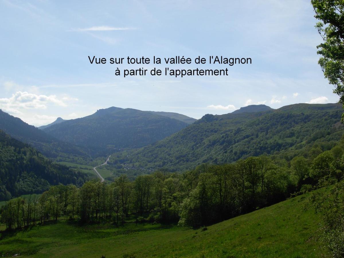 Vacances Au Pied Des Monts Du Cantal Laveissière Exterior foto